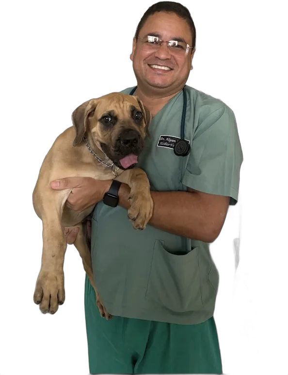 Dr. Alyson Mykael com um cão no colo